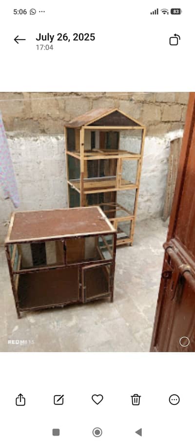Hen and bird cage