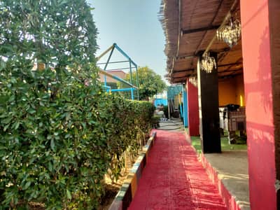 Palm Village Farm House Working Days Offer