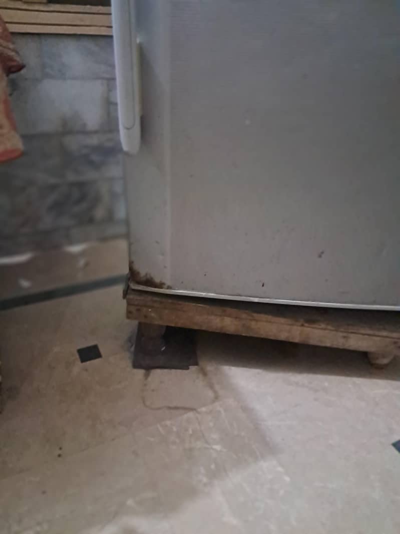 haier farig 1