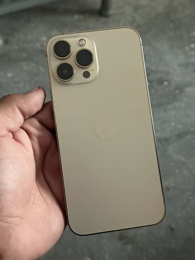 Apple iPhone 13 Pro Max