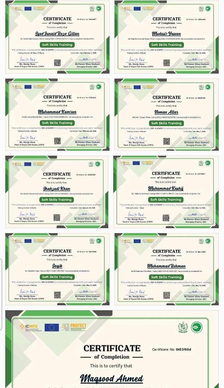 Soft Skill Training Certificate  ( work supporting document) 0
