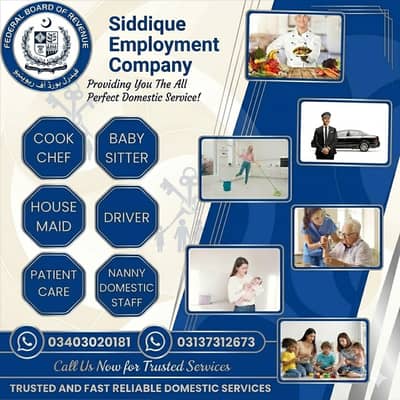 House Maids Baby Sitter Cook Drivers Chef Couple all Domestic staff