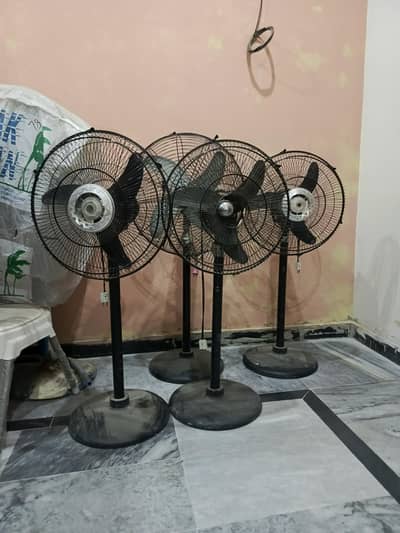 DC/Solar Pedestal Fan