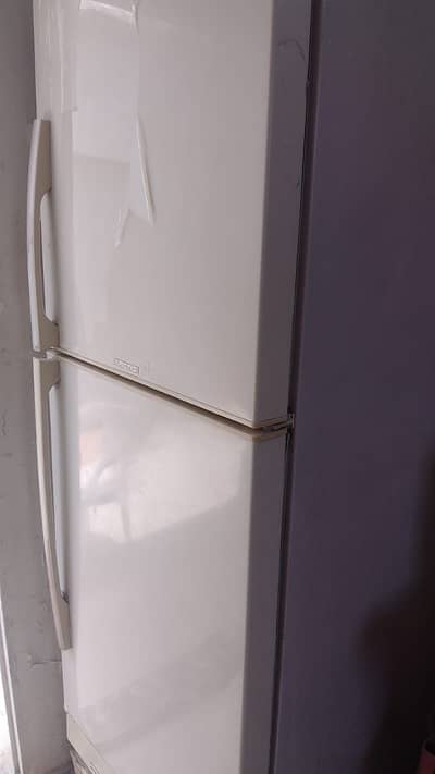 PEL Arctic Jumbo Fridge Double Door for Sale