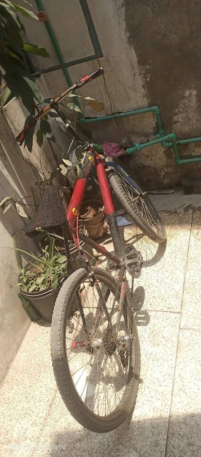 cycle