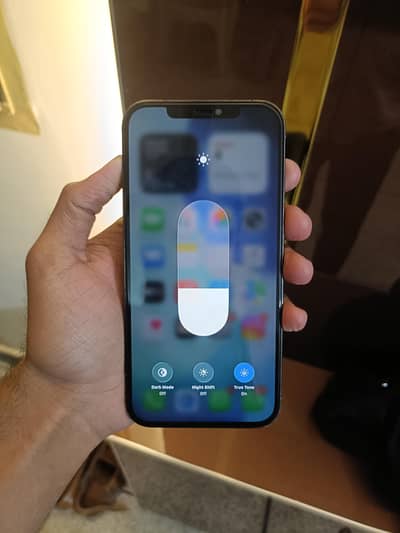 12 Pro Max factory unlock 