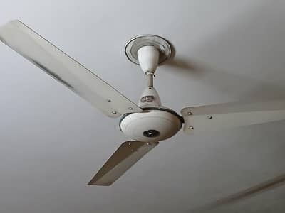 gfc fan 4pc