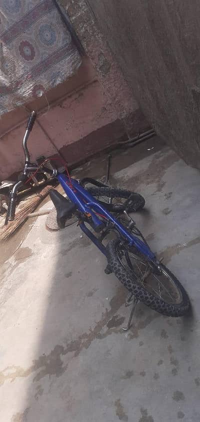 cycle