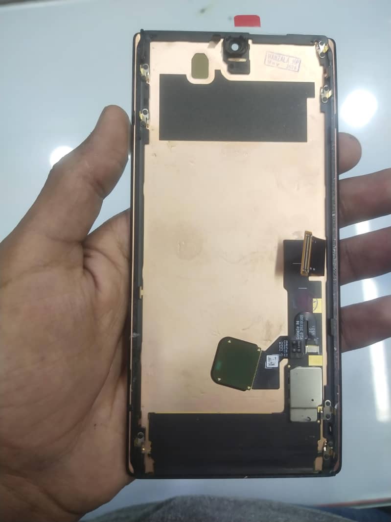 Google Pixel 6 Pro OLED and org panel 14