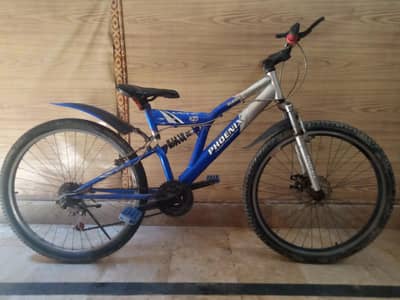 PHOENIX Bicycle Big Size