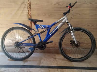 PHOENIX Bicycle Big Size