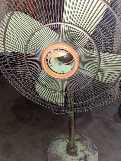 pedestal fans