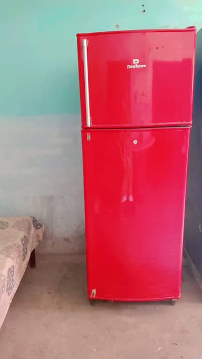 12 k good candisen