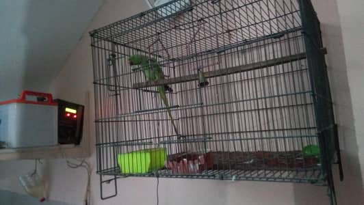 for sale location sailkot  ha