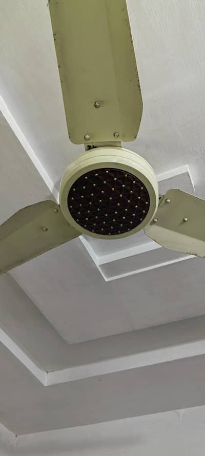 fan for sale 6