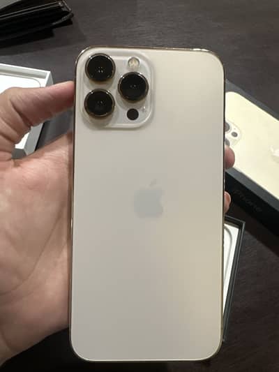 Apple iPhone 13 pro max