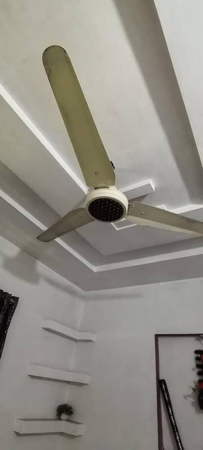 fan for sale