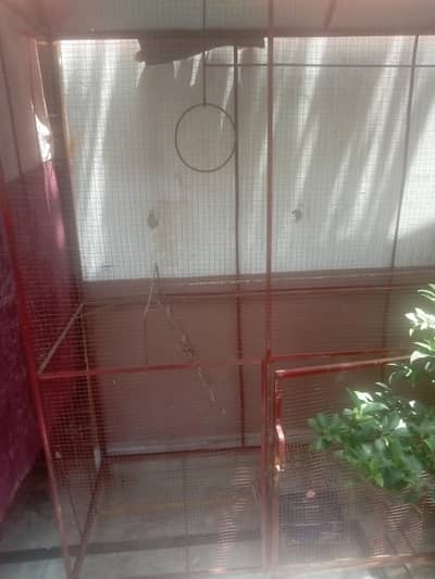 birds cage for sale
