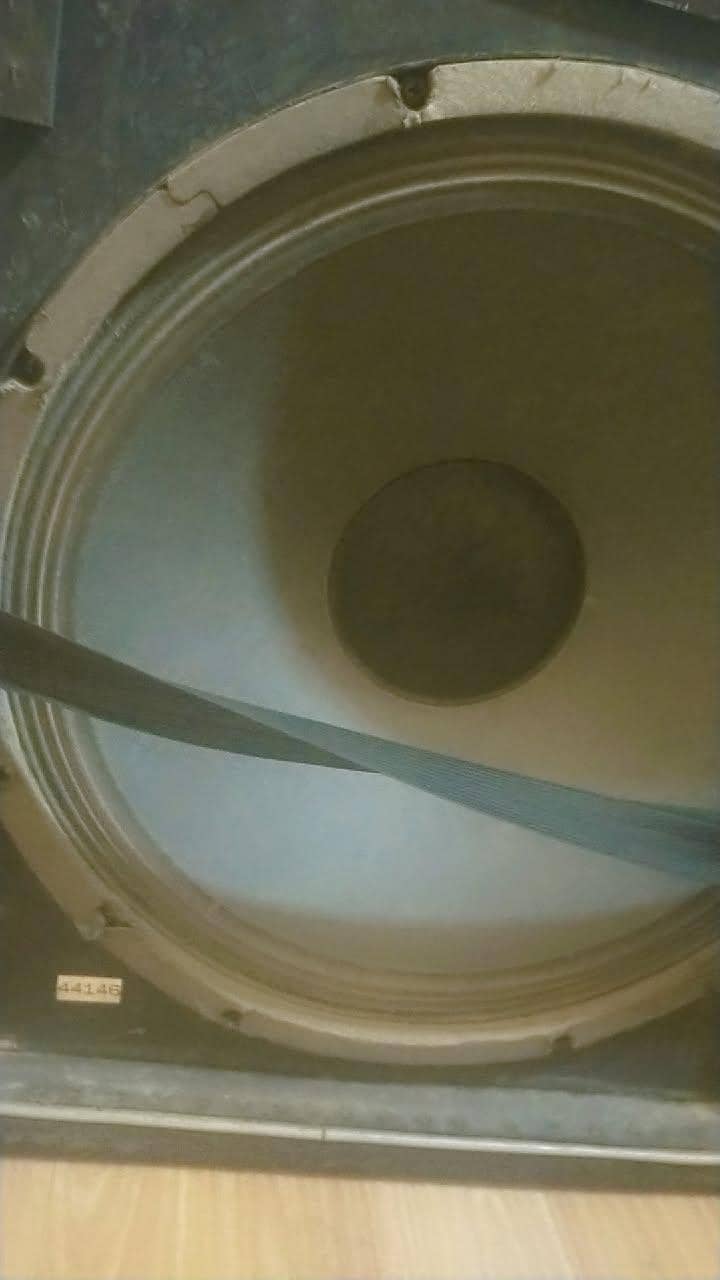woofer 1