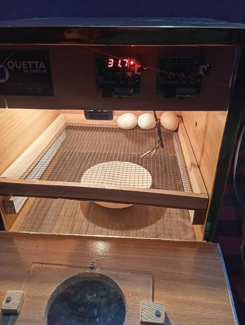 incubator sami Automatic 7