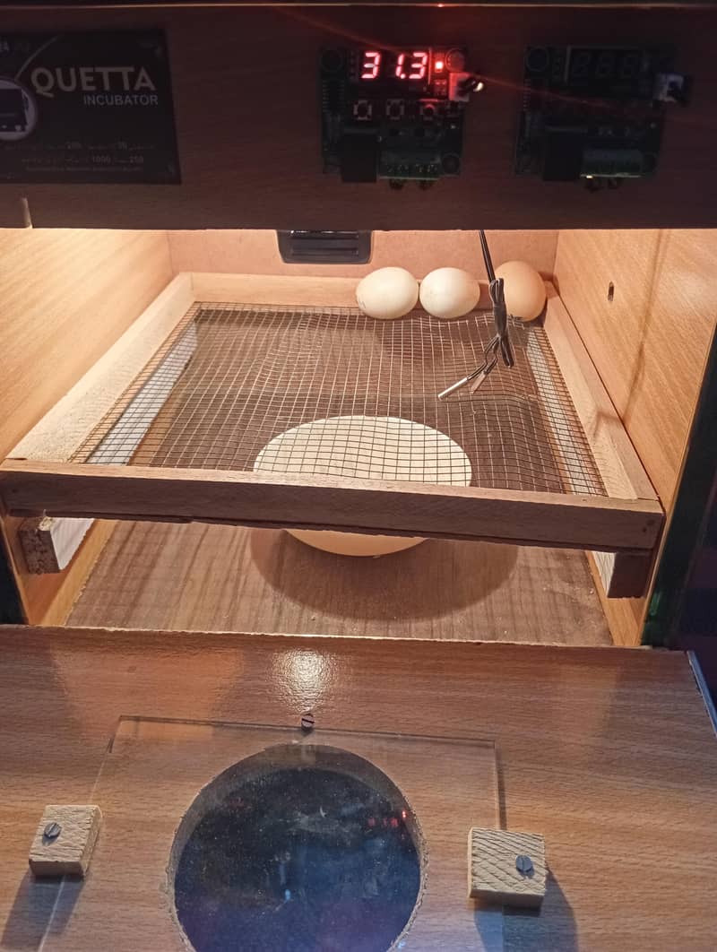 incubator sami Automatic 8