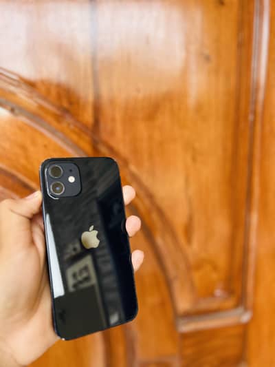 Apple iPhone 12 dual approved