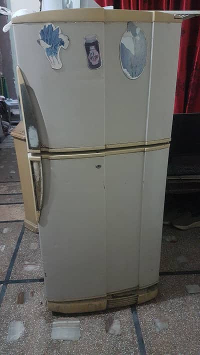 PEL Fridge Medium size 15 Year Uses Perfect Cooling