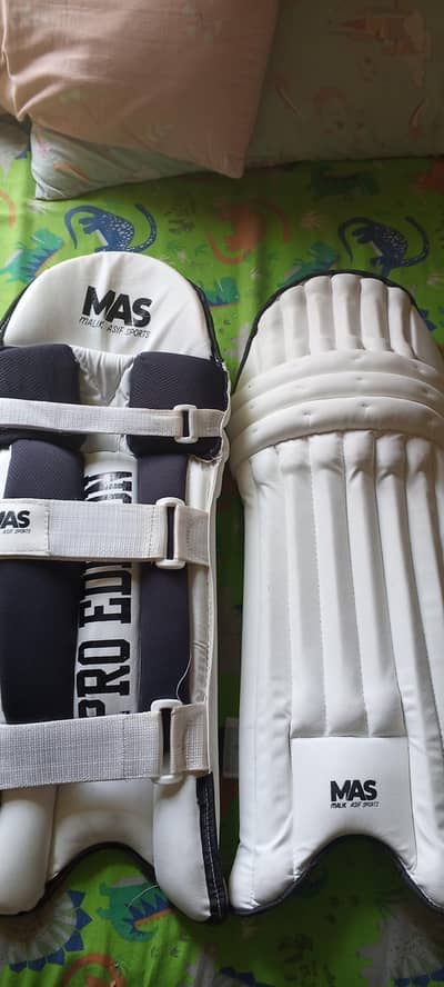dual cricket kit