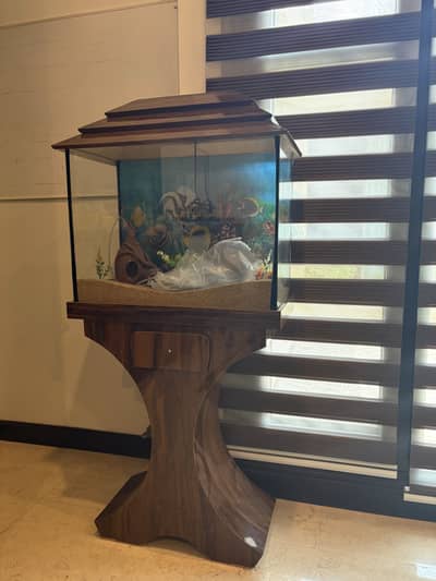 Huge High Quality Aquarium For Sale