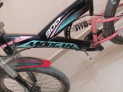 mogan for sale
