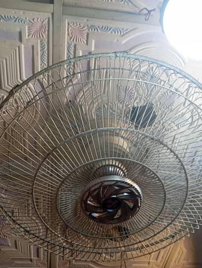 Ceiling Fan