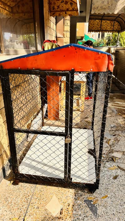 Heavy Duty Iron Dog Cage 4x3x5 ft for German Shepherd / Husky