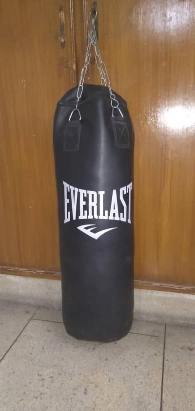 Professional punching bag (Everlast)