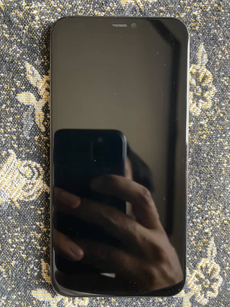 Iphone 11 panel 2