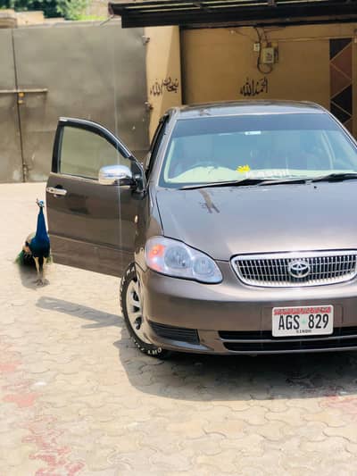 Toyota Corolla XLI 2004
