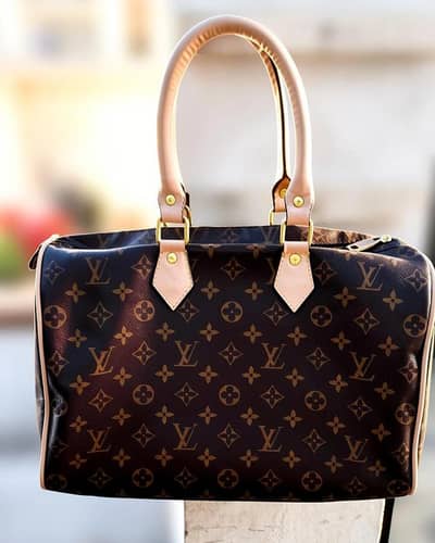 Original LV brand paras