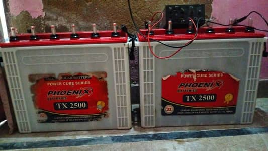 Tubular batteries
