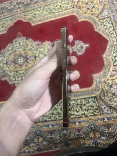 Apple iPhone 12 Pro Max
