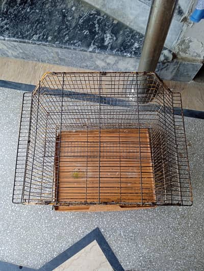 birds Cage