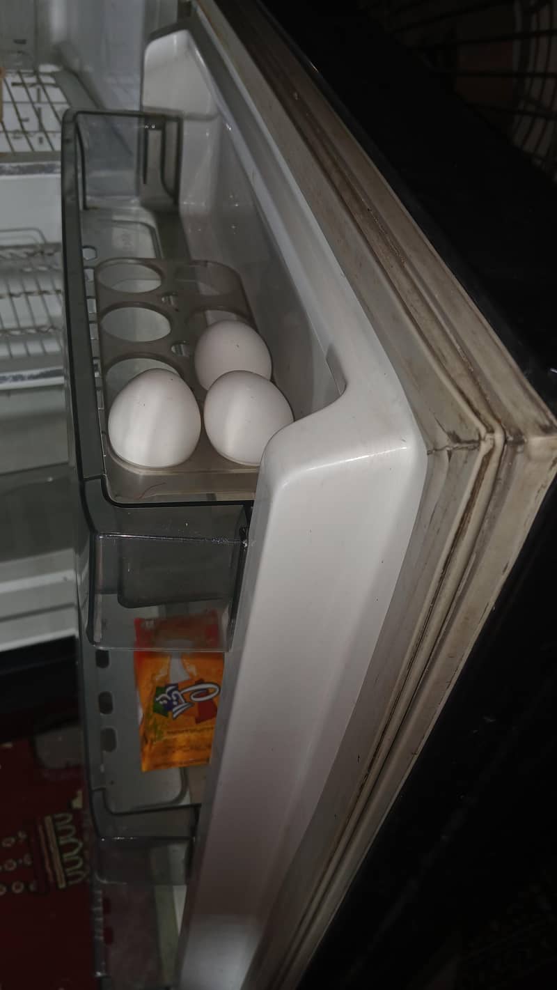 pell refrigerator 6