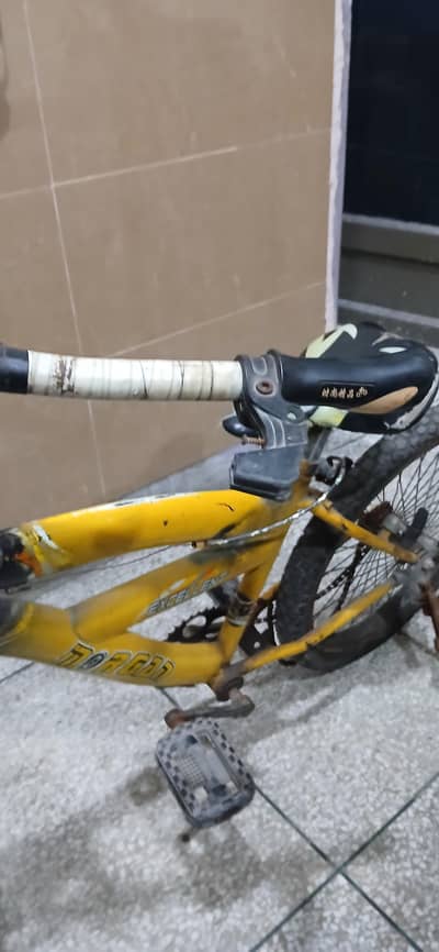 cycle baby for sale