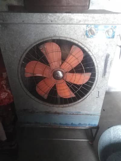 tayyab