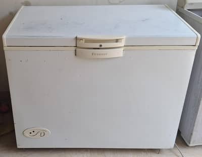 Waves WDF-313 Deep Freezer 13 CFT – cooling and Freezing good