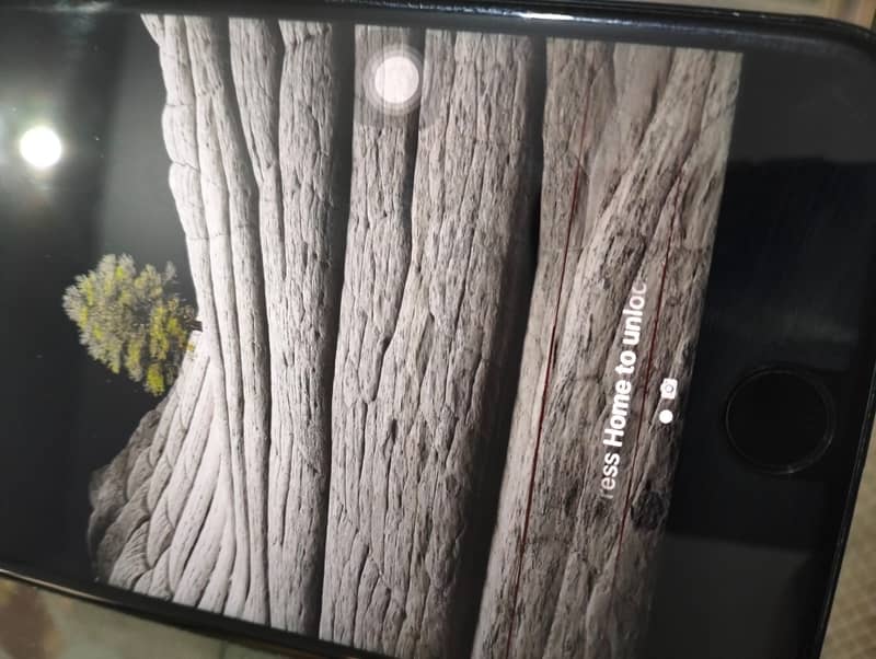 Apple iPhone 7 Plus 1