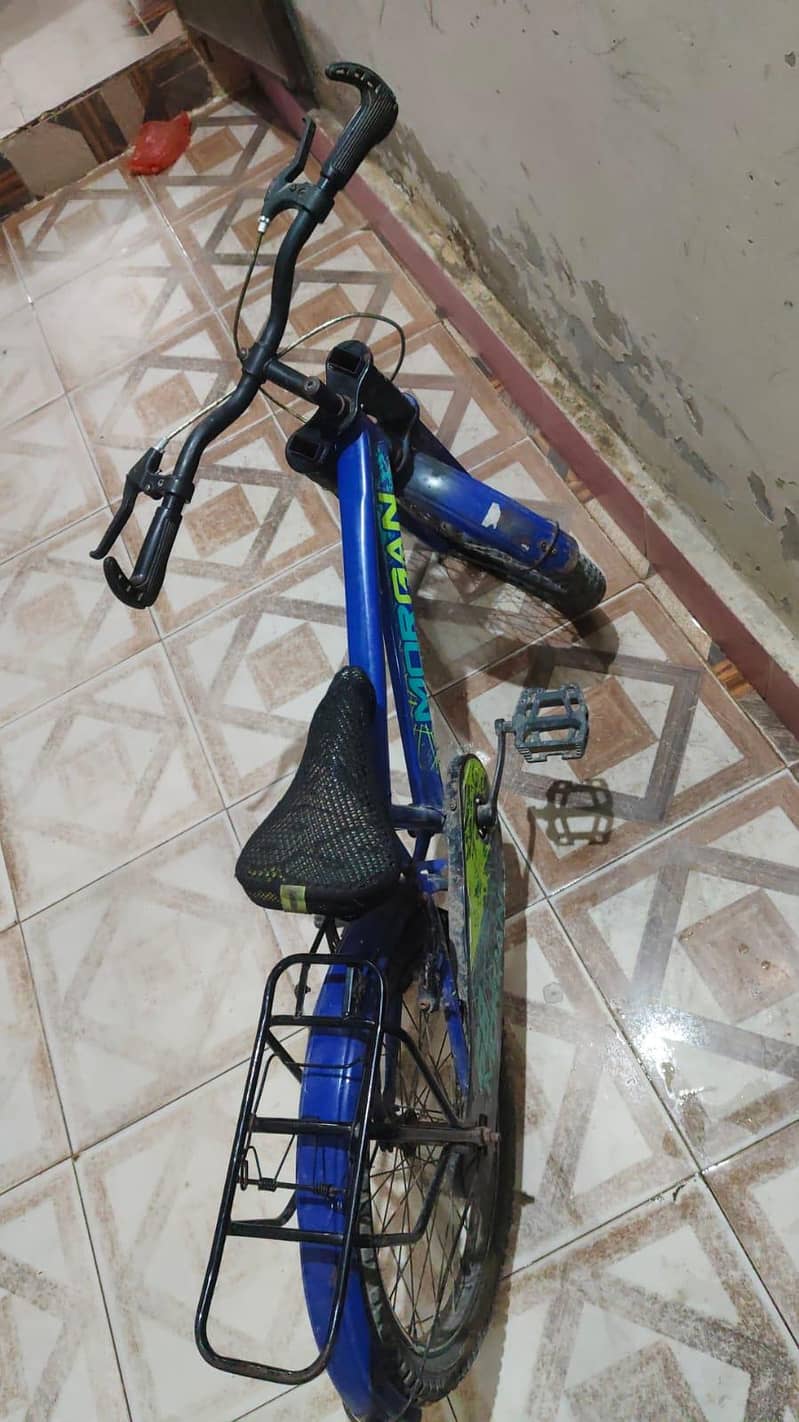 Cycle 6
