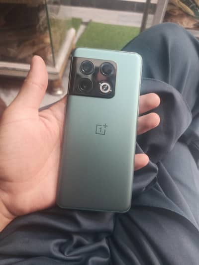 oneplus 10pro