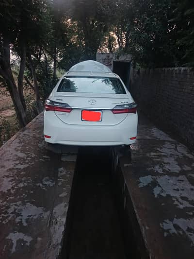auto gli 17 NEW SHAPE 0305 4986502