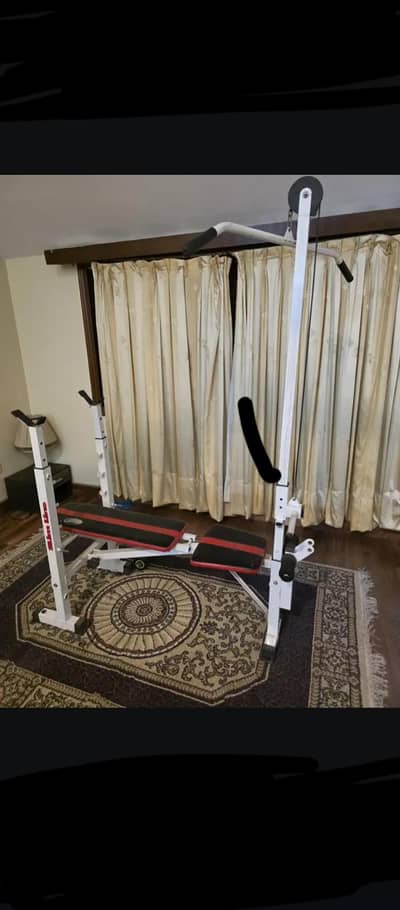 dumbbells bench