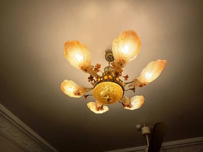 Chandelier Light