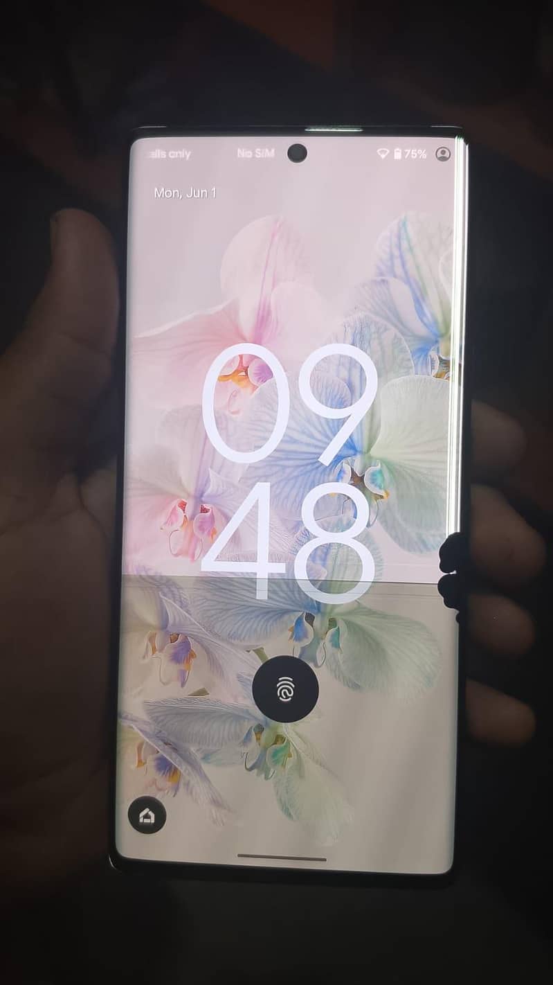 Google Pixel 6 Pro 0